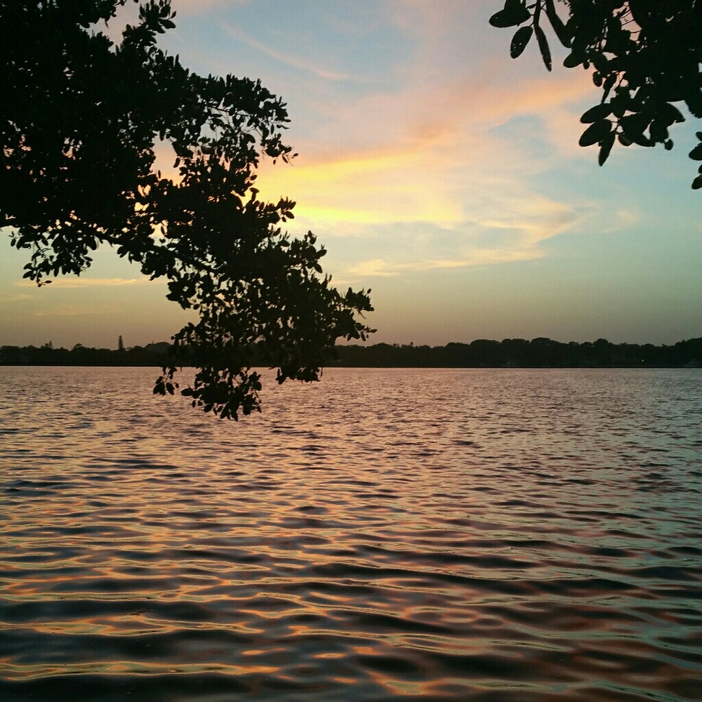 Meet your Posher, Jess